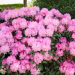 91e9522c7bfabc84f0db0ba2a8b022b3