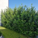 3cd91ff4e5d970aa8e2873dcebd850bf